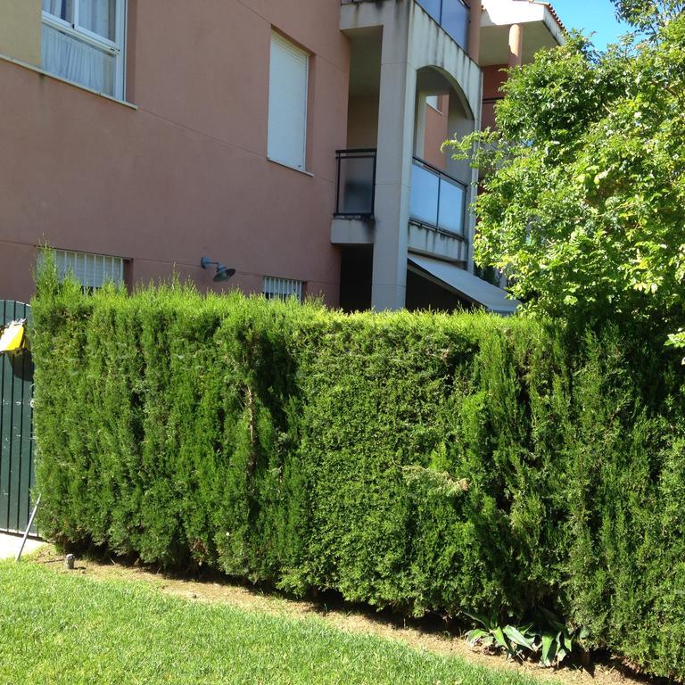 Divi Apartments Costa Ballena Dış mekan fotoğraf